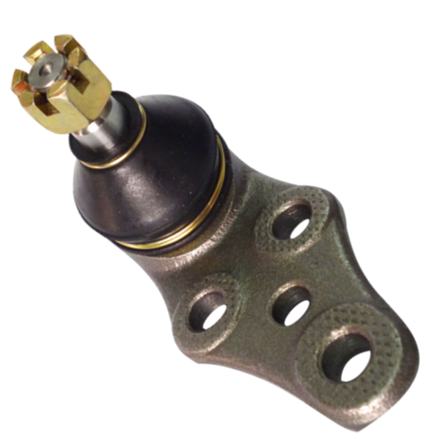 AL-SU-ROTTIJ-013
